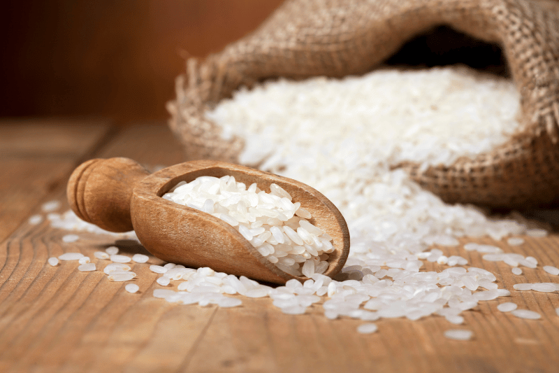 arroz-diarrea-perros